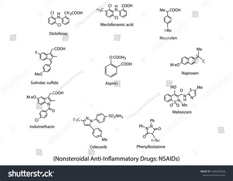 Chemical Structures Commonly Used Nsaids 库存矢量图（免版税）1648482058 Shutterstock