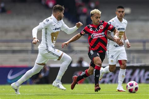 Xolos Eliminado Del Apertura Xpectro