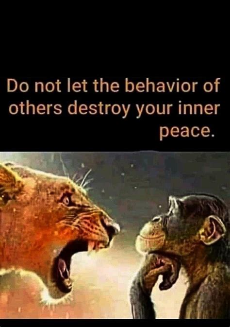 Two Lions Facing Each Other With The Caption Do Not Let The Behavior Of