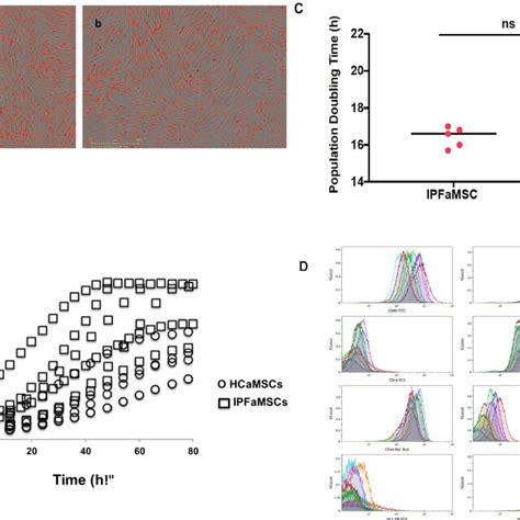 Proliferation Growth Rate Kinetic Doubling Time Comparison A