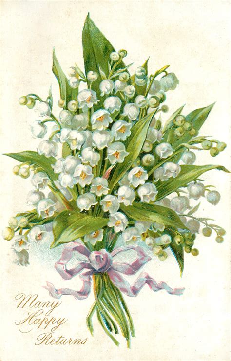 Flower Fairies Lily Of The Valley Best Flower Site
