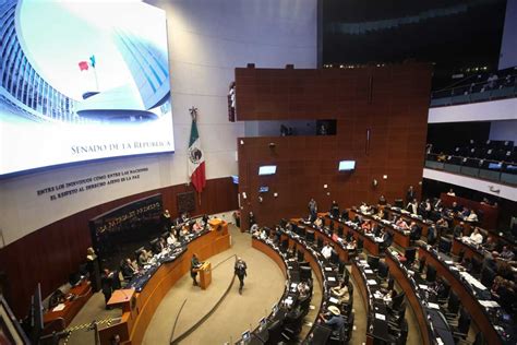 Senado Aprueba En Lo General Ley De Derechos 2023 Grupo Milenio