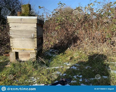 Oxalic Acid Treatment In A Beehive Seasonal Beekeeping Treatment