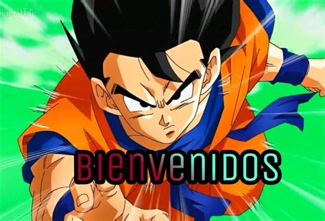 LOS MEJORES DIBUJANTES EN DRAGON BALL DRAGON BALL ESPAÑOL Amino