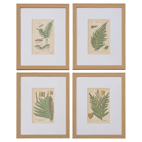 Custom Framed Antique Herbarium Botanical Specimens Set Of Four For