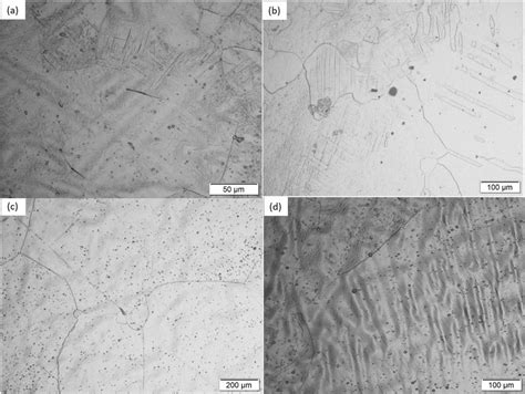 Optical Micrographs Obtained For A TNT B TNT 1 5 And C D TNT 3