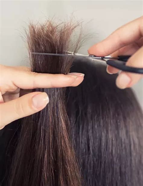 10 Simple Ways To Help You Cut Your Hair At Home How To Cut Your Own