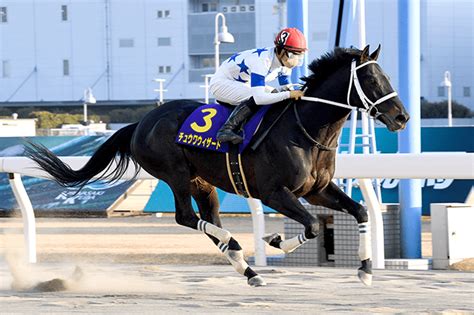 川崎記念 Jpni 2023｜特集おトク情報楽天競馬