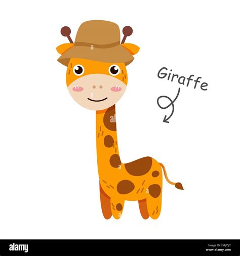 Cartoon Smiling Giraffe Stock Vektorgrafiken Kaufen Alamy