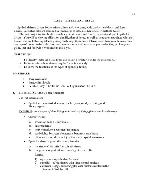 Lab 3 Epithelial Tissue - 3. LAB 3: EPITHELIAL TISSUE Epithelial tissue