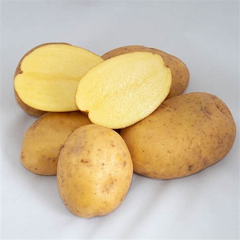 Картофель семенной (посадочный) Сорая. Среднеранний, 1 репродукция 100 ...