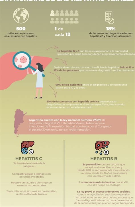 Hepatitis B Síntomas transmisión diagnóstico y tratamiento