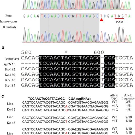 Mutation types of homozygous and heterozygous or chimeric mutants. a ...