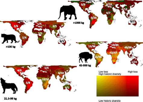 Pleistocene Megafauna - then and now : MapPorn