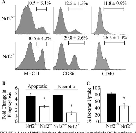 Figure From Loss Of Transcription Factor Nuclear Factor Erythroid