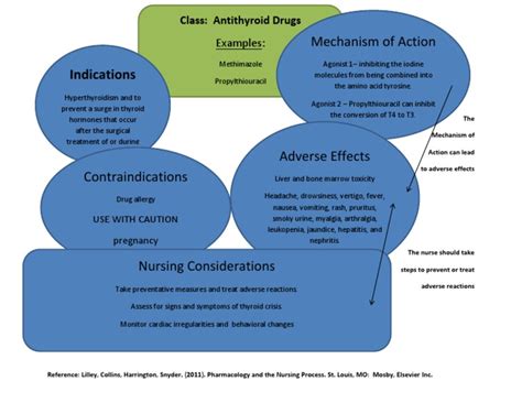 Medication Concept Map Template