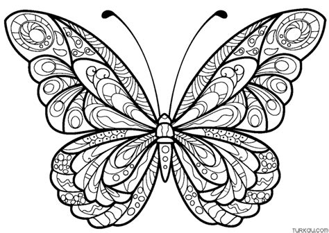 Perfect Butterfly Adult Coloring Page Turkau