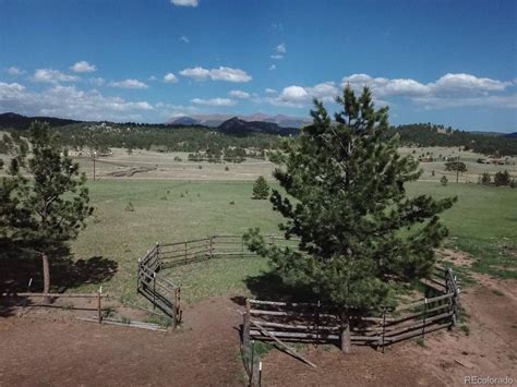 Florissant, CO Real Estate - Florissant Homes for Sale | realtor.com®