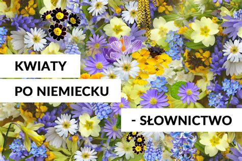 Kwiaty Po Niemiecku S Ownictwo J Zykowy Precel Codzienny Niemiecki