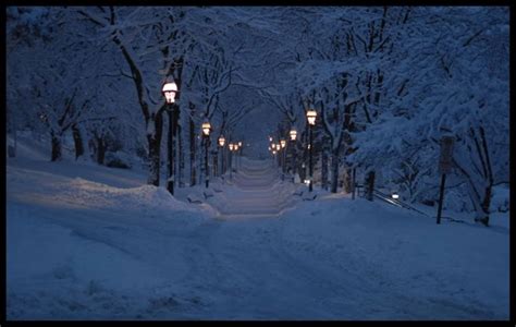 Grab Your Winter Coats And Take A Romantic Walk Along These Walkways