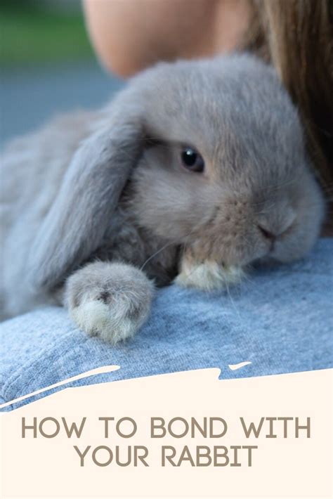 A Woman Holding A Rabbit With The Words How To Bond With Your Rabbit On It