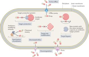 重新审视抗生素耐药性的分子机制 Nature Reviews Microbiology X MOL