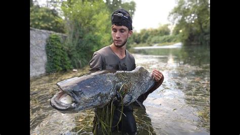 PECHE DU SILURE au leurre avec différentes techniques YouTube