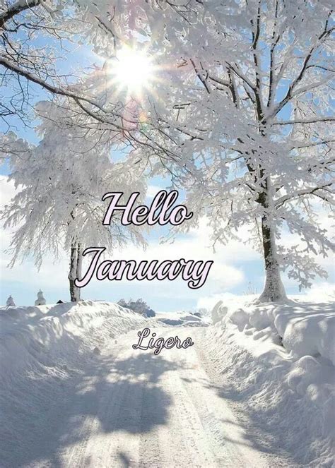 Hello January wallpaper | January wallpaper, Hello january, Months in a ...