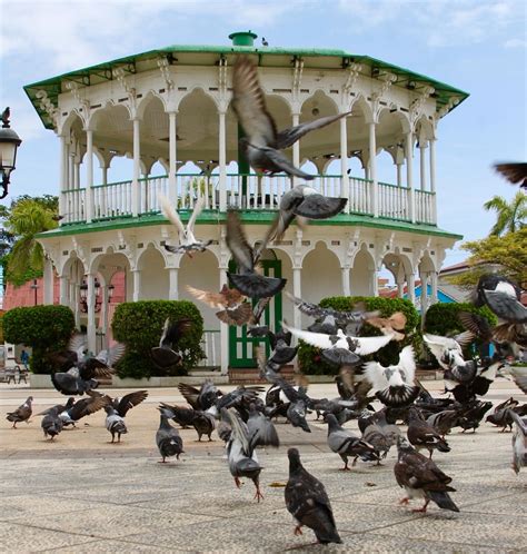 10 awesome things to do in puerto plata dominican republic – Artofit