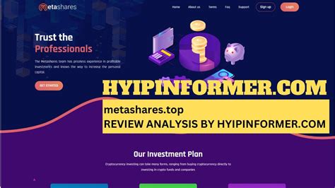 Metashares Top Review Analysis By Hyipinformer YouTube