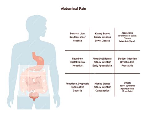 Premium Vector | Abdominal ache map medical infographic or selfhelp