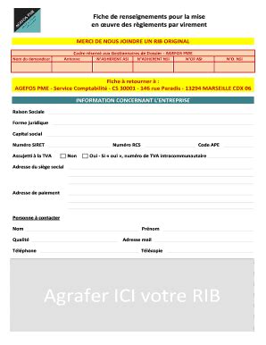 Remplissable En Ligne Fiche De Renseignements Pour La Mise En Uvre Des