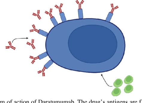 Figure 1 From Daratumumab In The Treatment Of Multiple Myeloma