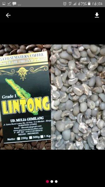 Jual Biji Kopi Mentah Lintong Grade One 1 Kg Di Lapak ACEH BUMBU STORE