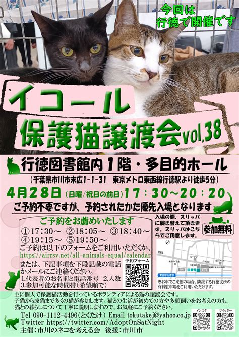 4月28日開催：イコール保護猫譲渡会（市川市：行徳図書館内）参加のお知らせ 譲渡会