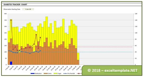 Diabetes Blood Sugar Level Tracker | Excel Templates