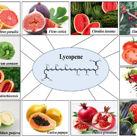 PDF Lycopene A Natural Antioxidant For Prevention Of Heat Induced