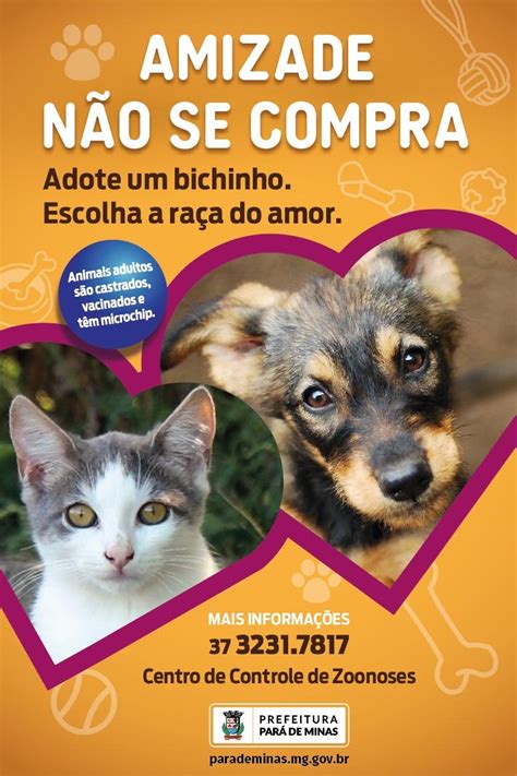 Ccz Promove Campanha De Ado O De Animais De Estima O Prefeitura De