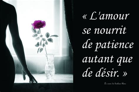 Amour Patience Désir Rose Fenêtre Attente Amour Patience