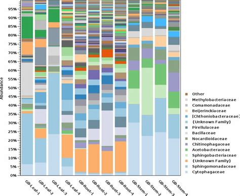 Taxonomic Abundance Of Bacterial Families In Ginkgo Biloba Tissues