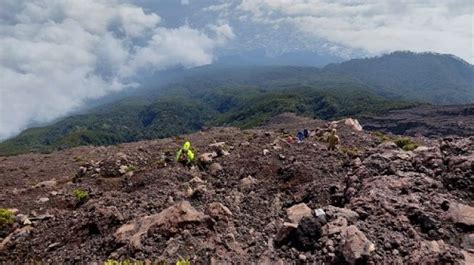 Jalur Pendakian Gunung Slamet Ditutup Sampai Kapan Ribuan Pendaki