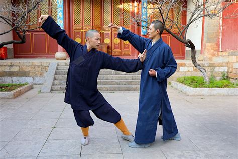 Shaolin Kung Fu Stances