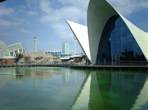 File:Oceanografic Valencia.JPG - Wikipedia