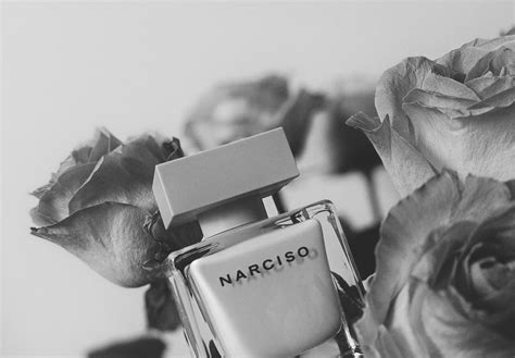 perfume background stock  images