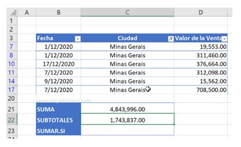 Sumar Datos Filtrados en Excel Función de SUBTOTALES Ninja del Excel