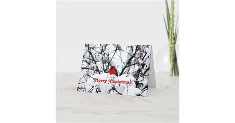 Pretty Red Cardinal Snow Photo Christmas Holiday Card Zazzle