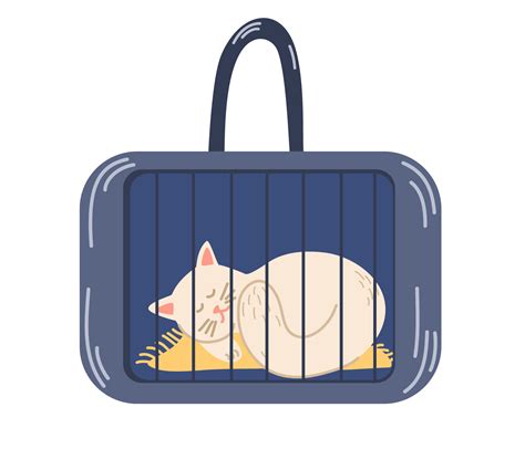 Cat In The Bag Transportation Of Animals Cute Cat Sitting In A Travel