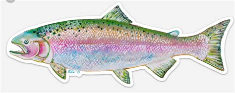 Rainbow Trout Sticker Or Decal Large Etsy