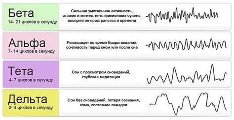 Что такое тета волны. Наш головной мозг непрерывно функционирует на ...
