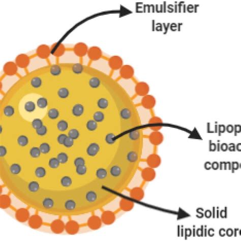 Core Shell Nano Capsules For Drug Delivery Schematic Representation